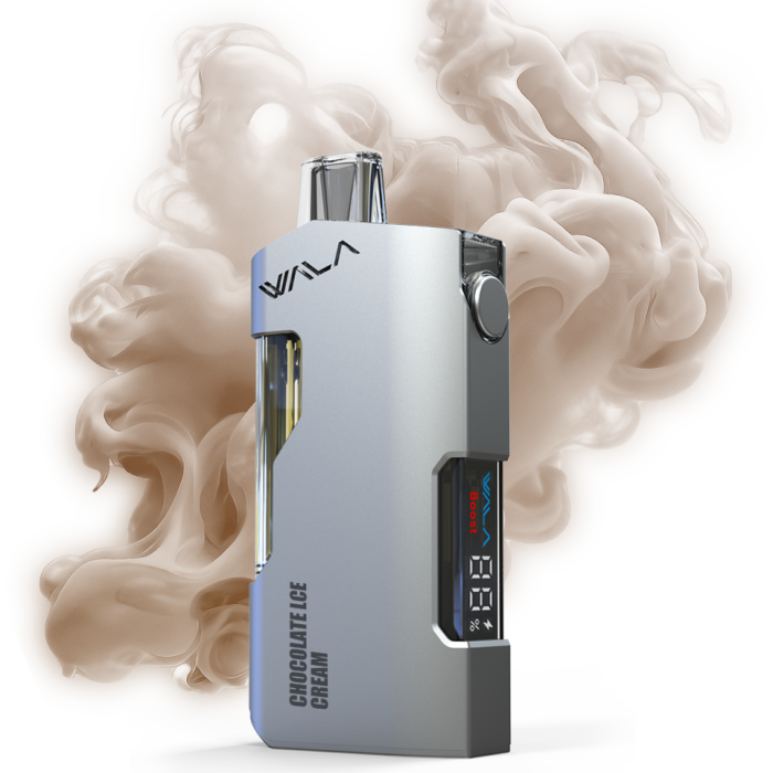 Chocolate Ice cream 1 PIECE