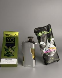 Stop Vaping Like an NPC (WALA YO vs IGET)