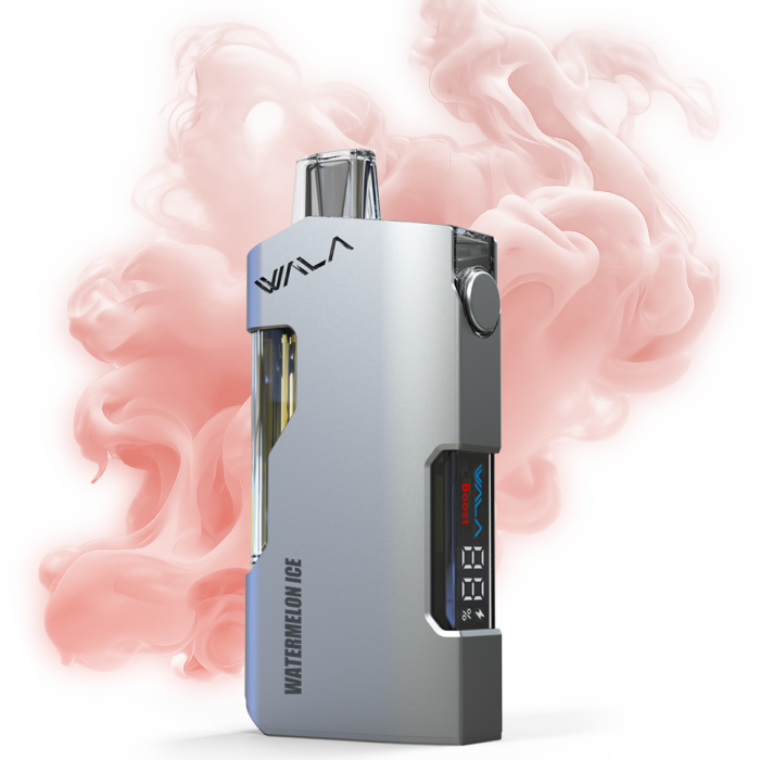 Watermelon ice 1 PIECE