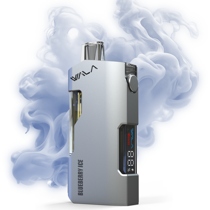 Blueberry ice 1 PIECE